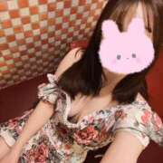 ヒメ日記 2025/04/10 09:51 投稿 なごみ No.1～ナンバーワン～