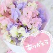 ヒメ日記 2025/03/20 10:15 投稿 すみれ 熟女の風俗アウトレット大垣安八羽島店