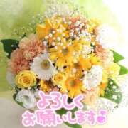 ヒメ日記 2025/03/21 11:36 投稿 すみれ 熟女の風俗アウトレット大垣安八羽島店