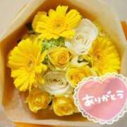 ヒメ日記 2025/03/22 20:46 投稿 すみれ 熟女の風俗アウトレット大垣安八羽島店