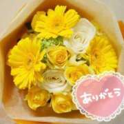 ヒメ日記 2025/03/27 18:23 投稿 すみれ 熟女の風俗アウトレット大垣安八羽島店