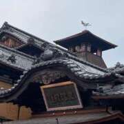 ヒメ日記 2025/07/06 10:39 投稿 芹沢 みすず CASA BIANCA（カーサ・ビアンカ）