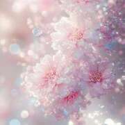 ヒメ日記 2026/03/25 00:40 投稿 ふたば ふぞろいの人妻たち