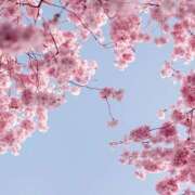 ふたば お久しぶりです♪ ふぞろいの人妻たち