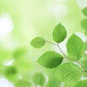 ふたば こんにちは ふぞろいの人妻たち