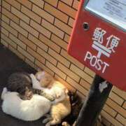 小林なぎさ 777 制服向上委員会