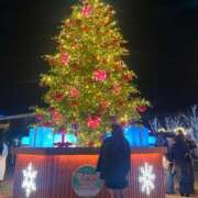 ヒメ日記 2025/12/05 08:57 投稿 美久里(みくり)♥清楚なド変態美 美魔女コレクション