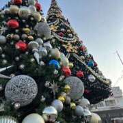 ヒメ日記 2025/12/09 19:51 投稿 ひなた No.1～ナンバーワン～