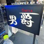 ヒメ日記 2025/03/02 08:52 投稿 ことは 男爵
