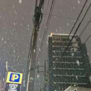 ヒメ日記 2025/03/05 10:48 投稿 ことは 男爵