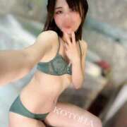 ヒメ日記 2025/03/22 10:29 投稿 ことは 男爵