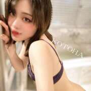 ヒメ日記 2025/03/23 10:27 投稿 ことは 男爵