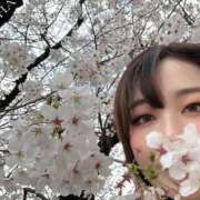 ヒメ日記 2025/03/31 08:22 投稿 ことは 男爵