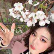 ヒメ日記 2025/03/31 20:24 投稿 ことは 男爵