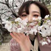 ヒメ日記 2025/04/01 21:33 投稿 ことは 男爵