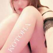 ヒメ日記 2025/04/02 12:18 投稿 ことは 男爵