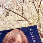 ヒメ日記 2025/04/03 13:29 投稿 ことは 男爵