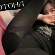 ヒメ日記 2025/04/11 19:16 投稿 ことは 男爵