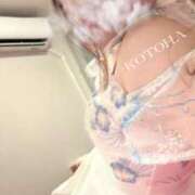 ヒメ日記 2025/05/21 22:23 投稿 ことは 男爵