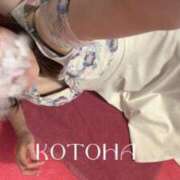 ヒメ日記 2025/05/30 13:01 投稿 ことは 男爵