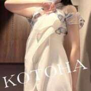 ヒメ日記 2025/06/02 20:51 投稿 ことは 男爵