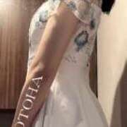 ヒメ日記 2025/06/05 20:44 投稿 ことは 男爵