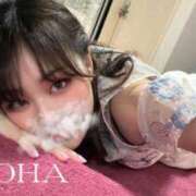 ヒメ日記 2025/06/12 21:21 投稿 ことは 男爵