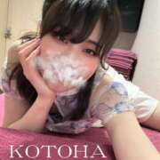 ヒメ日記 2025/06/15 09:51 投稿 ことは 男爵