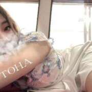 ヒメ日記 2025/06/29 19:21 投稿 ことは 男爵