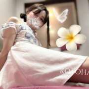 ヒメ日記 2025/07/05 20:40 投稿 ことは 男爵