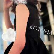 ヒメ日記 2025/07/18 20:59 投稿 ことは 男爵