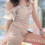 ヒメ日記 2025/11/13 22:50 投稿 ことは 男爵