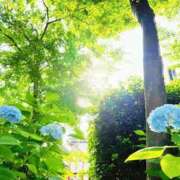 ことは 🧡新記録🫣💞 男爵