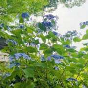 ヒメ日記 2026/06/02 20:57 投稿 ことは 男爵