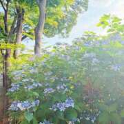 ヒメ日記 2026/06/12 06:42 投稿 ことは 男爵