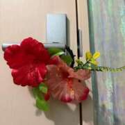 ヒメ日記 2026/08/02 07:00 投稿 ことは 男爵