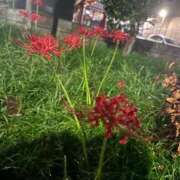 ヒメ日記 2025/10/23 09:48 投稿 若宮のえる 神戸ホットポイント