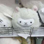 ヒメ日記 2025/11/15 20:10 投稿 若宮のえる 神戸ホットポイント