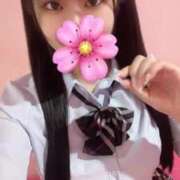 ヒメ日記 2025/03/25 16:26 投稿 さくら 萌えカワ