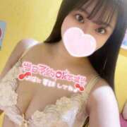 ヒメ日記 2025/03/31 07:32 投稿 さくら 萌えカワ