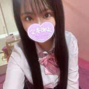 ヒメ日記 2025/06/29 09:56 投稿 さくら 萌えカワ