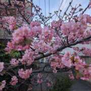 ヒメ日記 2025/03/07 09:14 投稿 ひいろ 完熟ばなな川崎