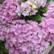 ヒメ日記 2025/06/11 10:21 投稿 ひいろ 完熟ばなな川崎