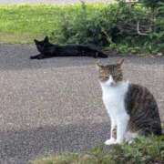 ヒメ日記 2025/06/18 12:47 投稿 ひいろ 完熟ばなな川崎