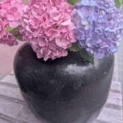 ヒメ日記 2025/06/25 07:49 投稿 ひいろ 完熟ばなな川崎