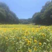 ヒメ日記 2025/08/20 10:12 投稿 ひいろ 完熟ばなな川崎