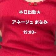 真奈美/まなみ 本日出勤です★ 五反田アネージュ（ユメオト）