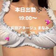 ヒメ日記 2026/05/13 15:33 投稿 真奈美/まなみ 五反田アネージュ（ユメオト）