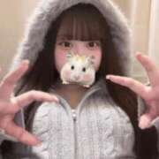 ヒメ日記 2025/11/15 20:03 投稿 ゆめ もみもみワンダーランド