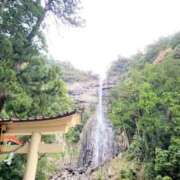 ヒメ日記 2025/04/01 22:57 投稿 りんご ごほうびSPA 大阪店